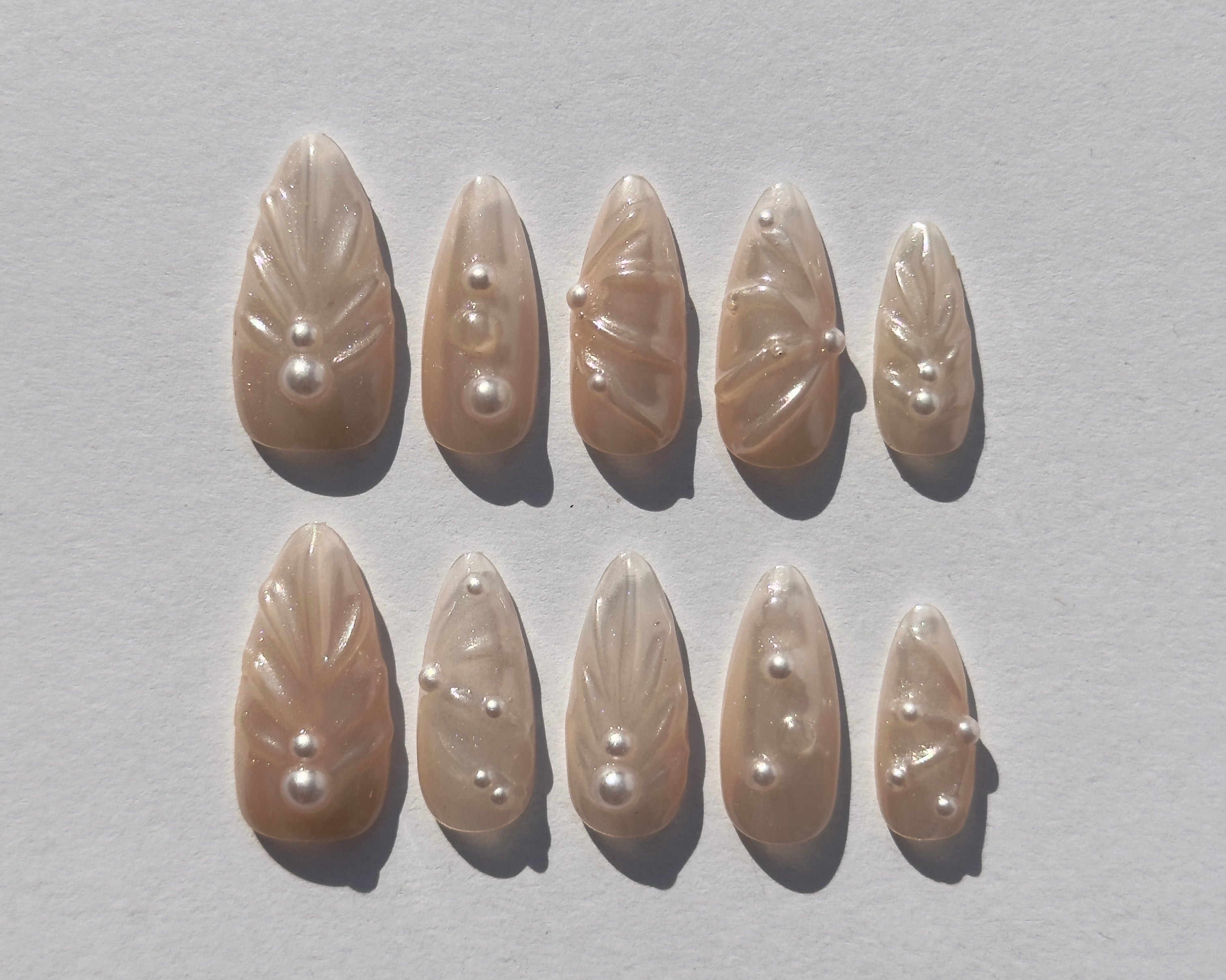 seashell